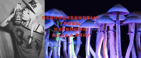 прущие крисы Инта