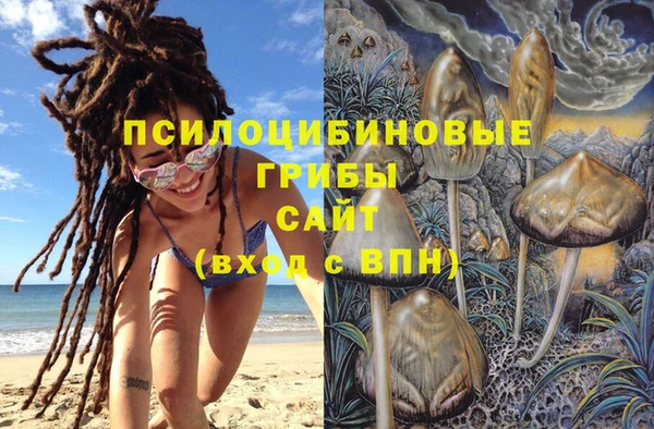 круглые Инсар