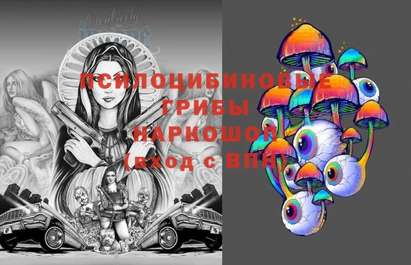 прущие крисы Инта