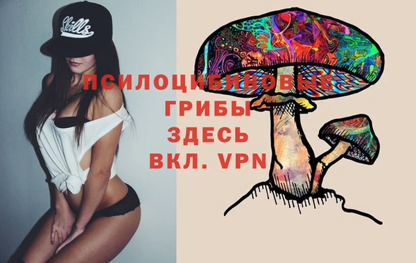 прущие крисы Инта